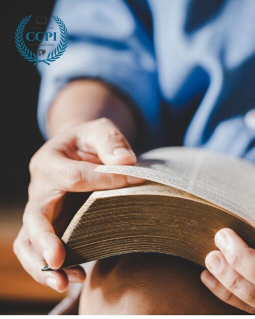 Design sem nome (3)